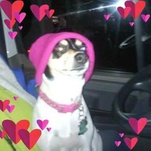 Meet your Posher, Diane